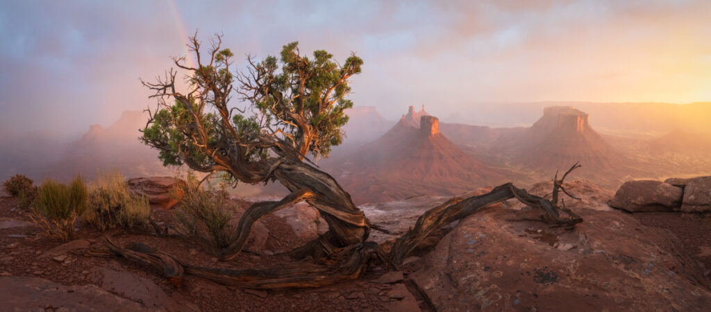 FAN9589-Pano-Edit