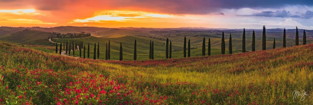 under-the-tuscan-sunset-1