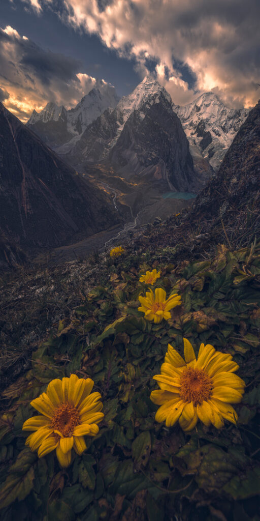 21_SHAO LUN - HUANG - 台灣 - AMNL - PA2517843_web_res