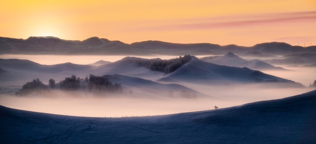 29_Bing - Zhao - China - AMNL - PA2517744_web_res