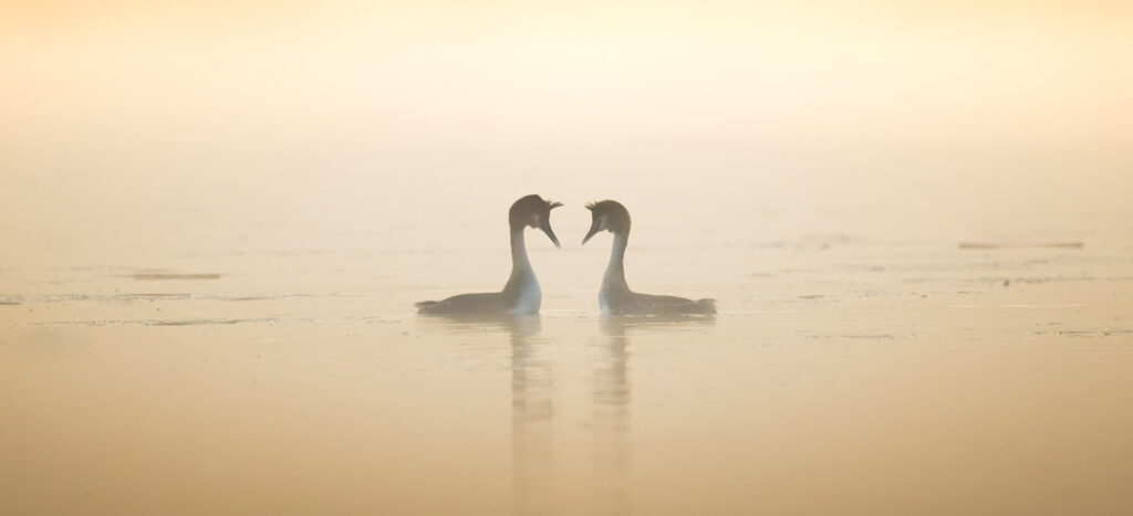 29_Richard - Murray - UK - AMNL - PA2518583_web_res