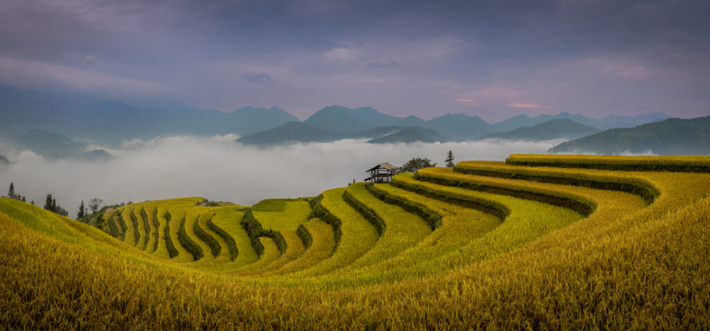 31_Agnes Anna - Sadowski - Germany - AMBE - PA2518117_web_res