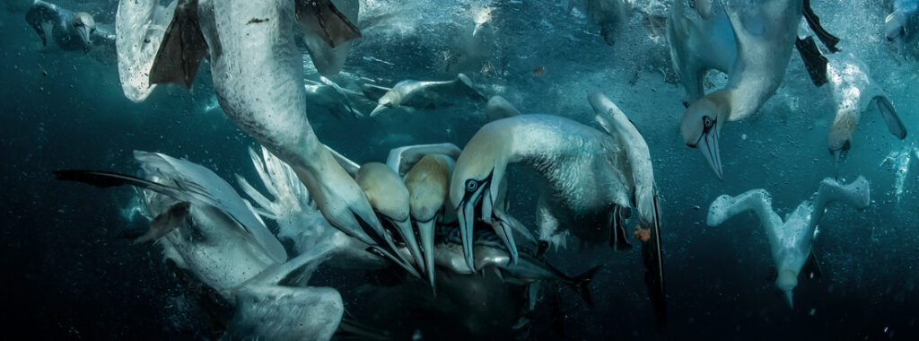 32_ARUN - MOHANRAJ - GB - AMNL - PA2518531_web_res