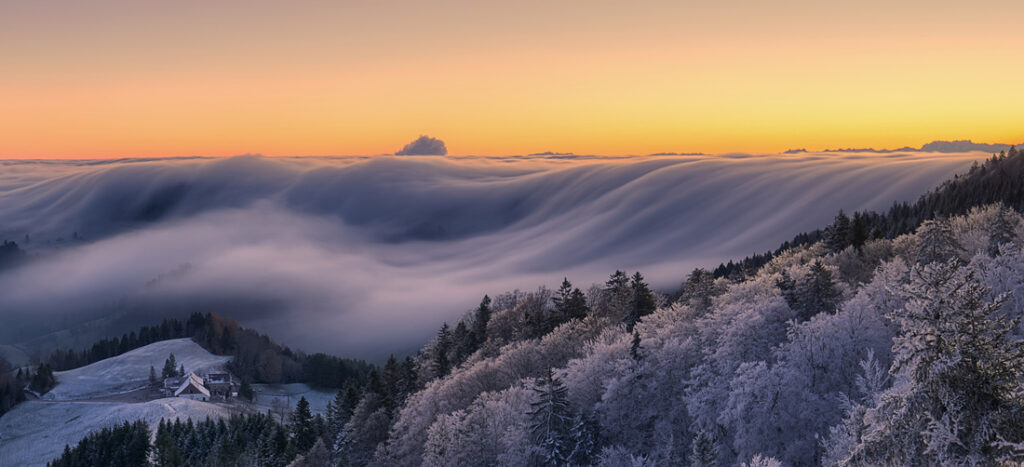 32_Judith - Kuhn - DE - AMNL - PA2517796_web_res