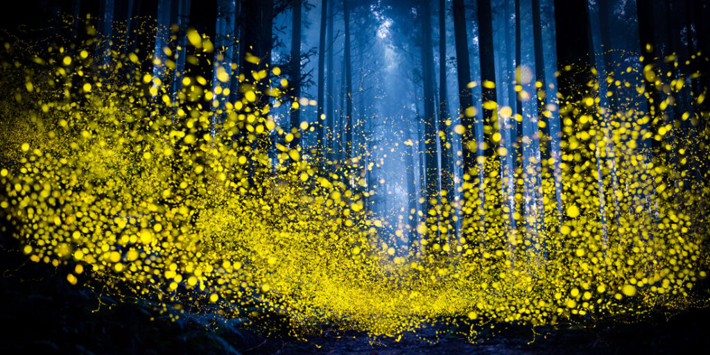 32_Shirley - Wung - TW - OPNL - PA2518145