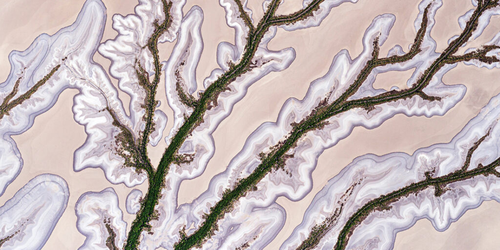 34_Peter - Harrison - Australia - OPNL - PA2517992