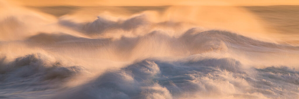 36_Aaron - Feinberg - United States - OPNL - PA2517868