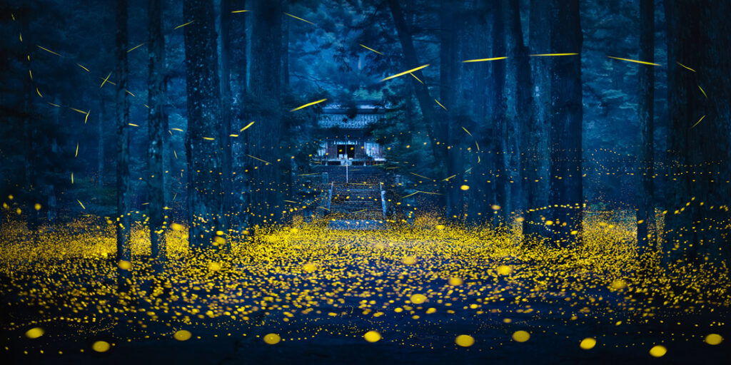 36_Shirley - Wung - TW - OPBE - PA2518234_web_res