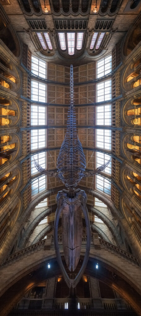 38_Luis - Cajete - ES - AMBE - PA2518534_web_res