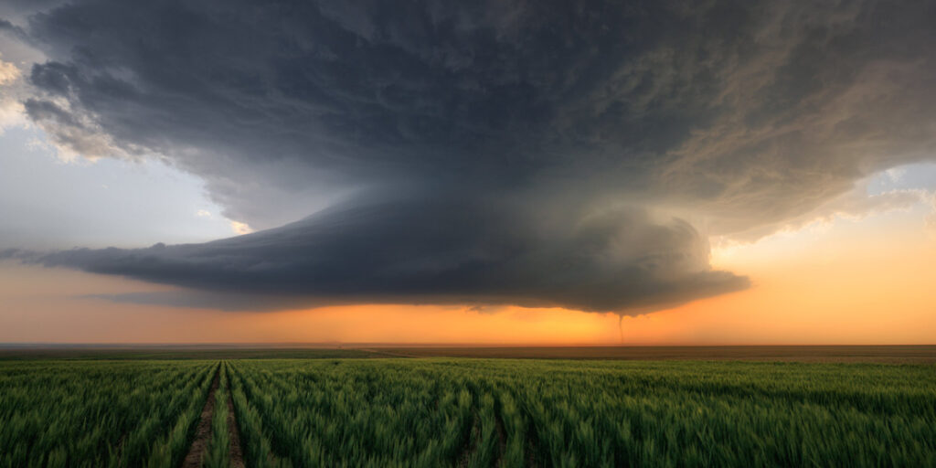 39_Tim - Baca - United States - OPNL - PA2517919