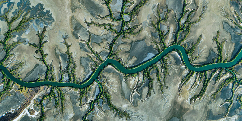 45_Peter - Harrison - Australia - OPNL - PA2517992