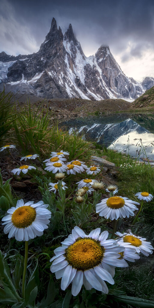 48_Soumyadeep - Roy - IN - AMNL - PA2517922_web_res