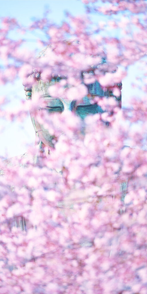 49_K Sharad - Haksar - IN - OPBE - PA2518589_web_res