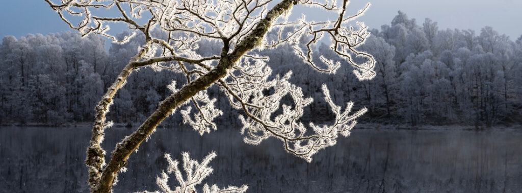 57_Ian - Biggs - UK - OPNL - PA2518365_web_res