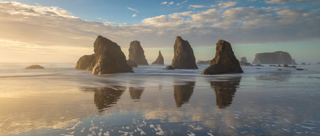 57_Michael - Andrejkow - CA - OPNL - PA2518116_web_res