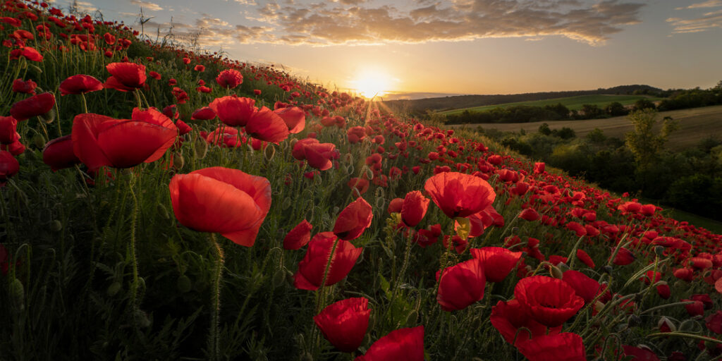 59_Francesco - Zecca - Italy - AMNL - PA2517815_web_res