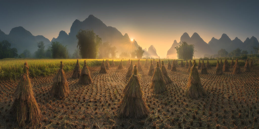 59_Tran - Linh - Việt Nam - AMNL - PA2517773_web_res