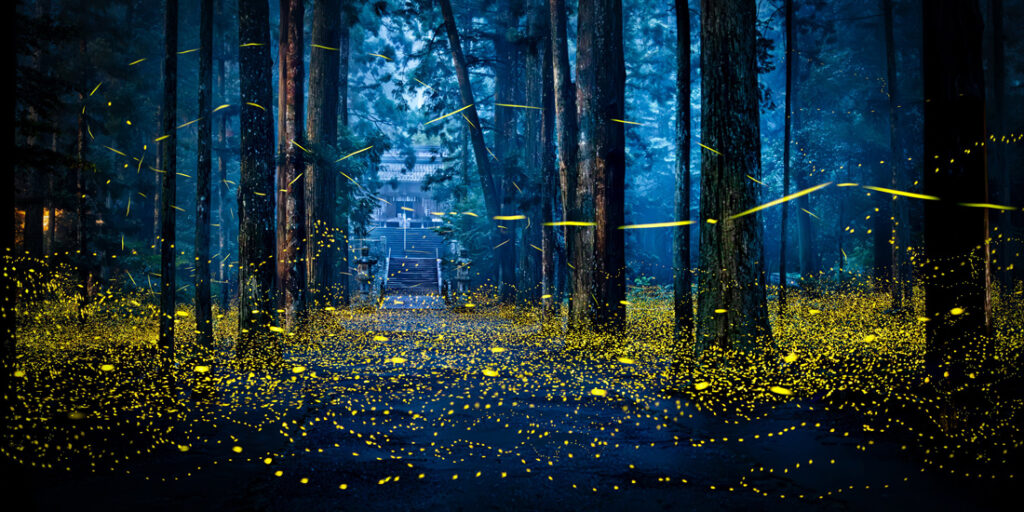 5_Shirley - Wung - TW - OPBE - PA2518234_web_res