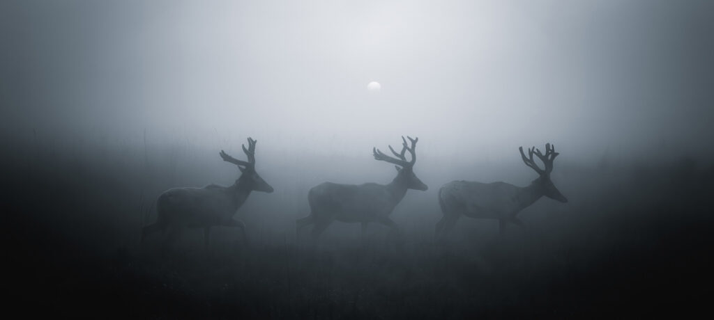 63_Bing - Zhao - China - AMNL - PA2517744_web_res