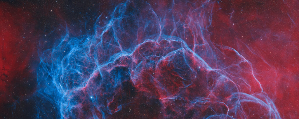 63_Joshua - Robertson - Australia - AMNL - PA2517906_web_res