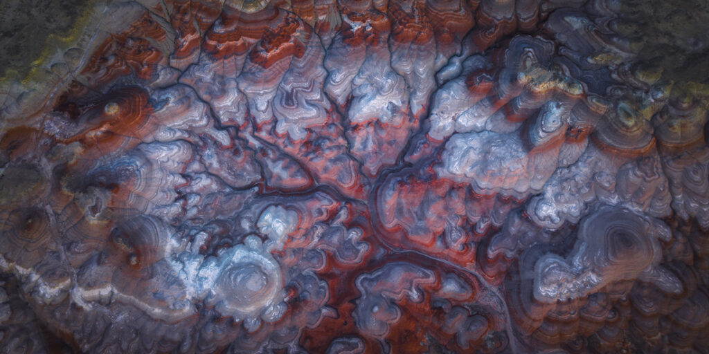 63_Kevin - Nyun - United States - AMNL - PA2518132_web_res