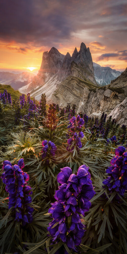 70_Avishek - Patra - Germany - AMNL - PA2518532_web_res