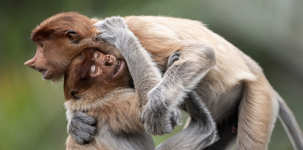 70_Daniel - Valverde - Spain - AMNL - PA2518370_web_res