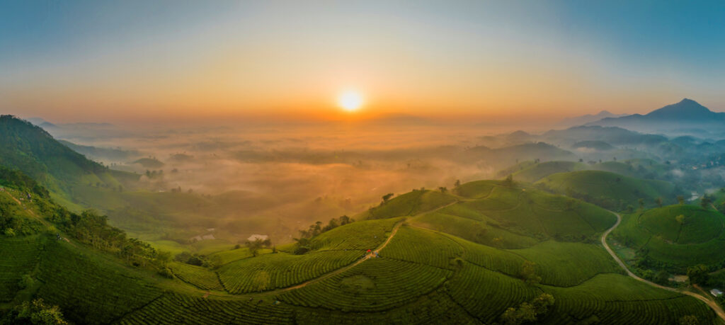 70_Tran - Ngoc Thinh - Việt Nam - AMNL - PA2518343_web_res