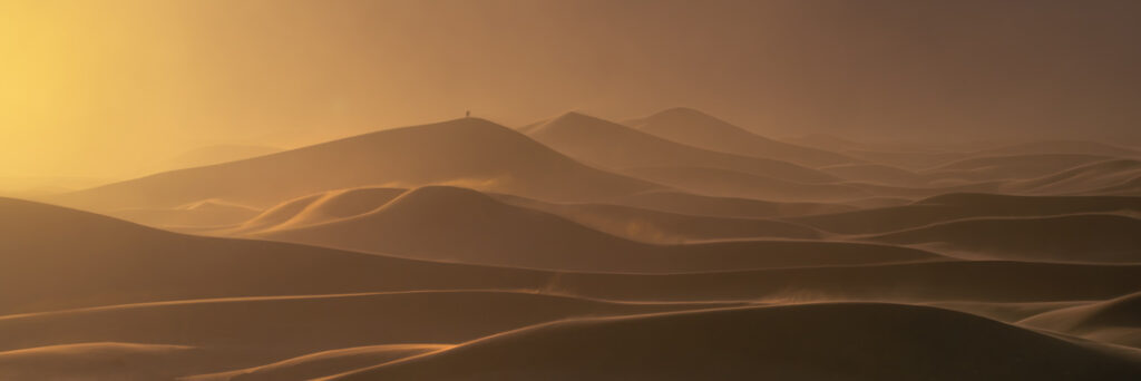 76_Markus - Albert - Germany - AMNL - PA2517829_web_res