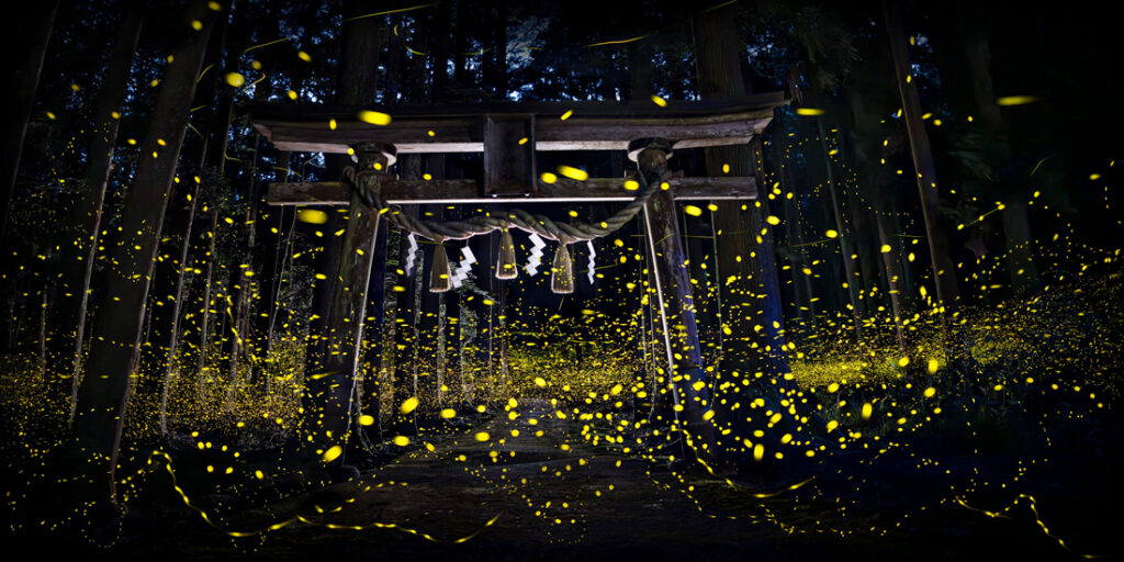 8_Shirley - Wung - TW - OPBE - PA2518234_web_res