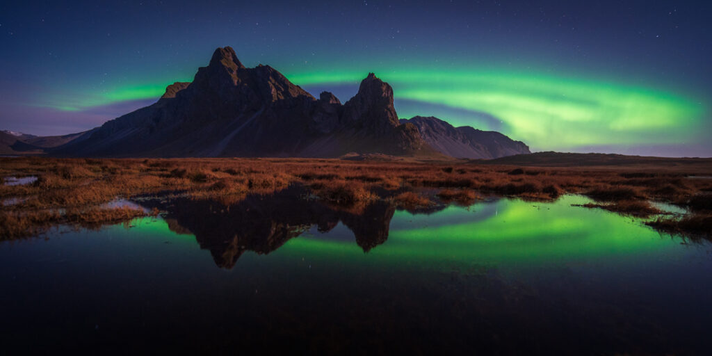 91_Dan - Mitler - USA - AMNL - PA2517904_web_res