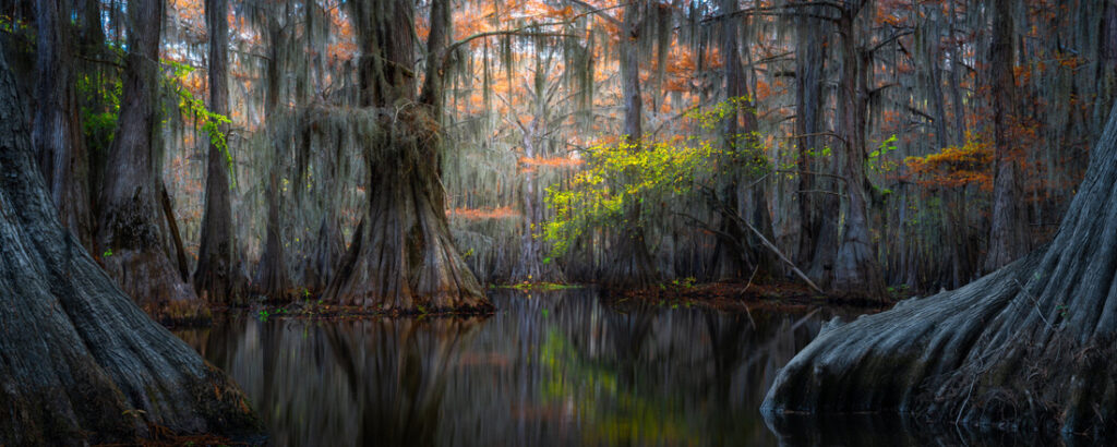 97_Chris - Byrne - US - OPNL - PA2518559_web_res