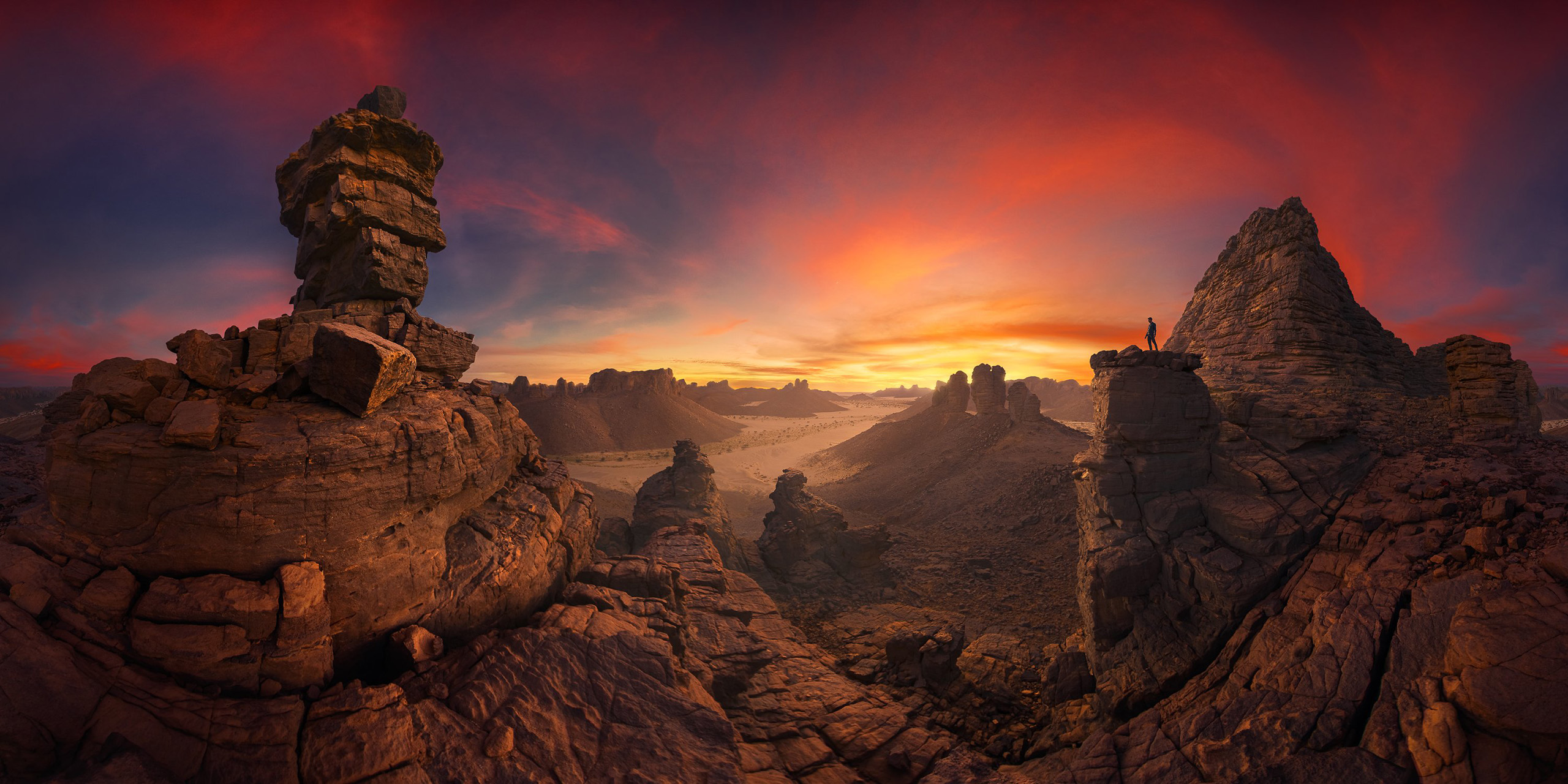 The Epson International Pano Awards