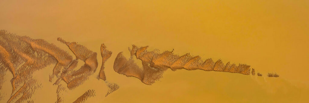 61_Annette - Kirby - Australia - - PA2619136.jpg