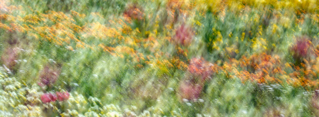 A73R6048b_6524_1610s
